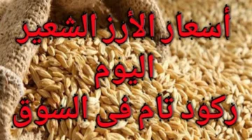 الطن وصل كام.. سعر الأرز الشعير اليوم السبت 29 نوفمبر 2025 في الأسواق التجارية المصرية واسعار السلع الاساسية